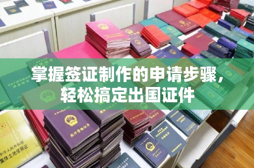 滦平掌握签证制作的申请步骤，轻松搞定出国证件